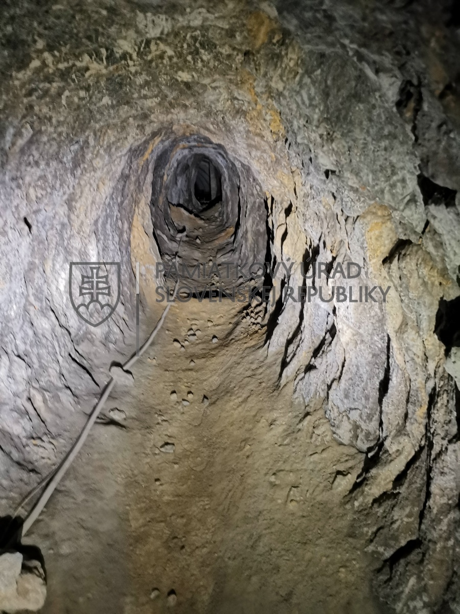 Identifikačná fotografia